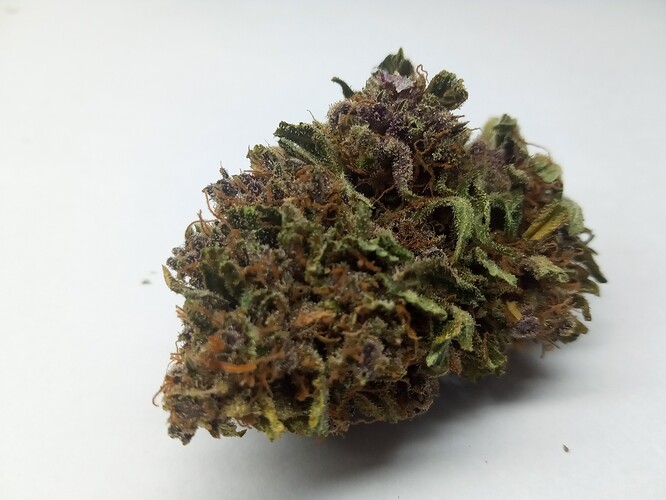 Growreport Bild 4