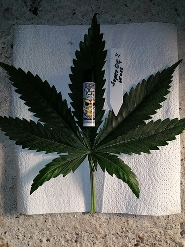 Growreport Bild 12