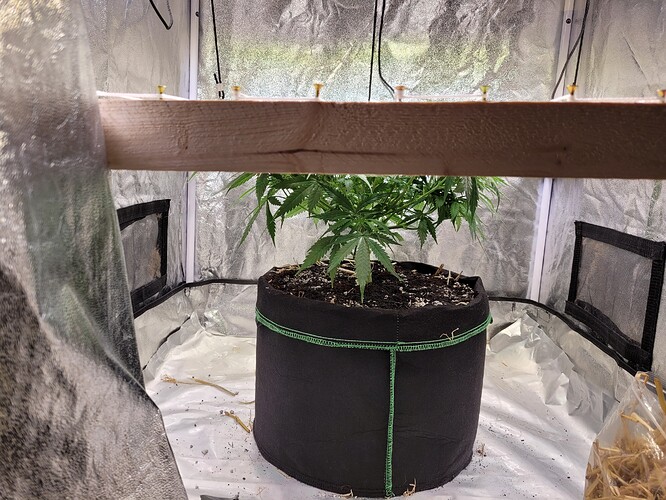 Growreport Bild 3