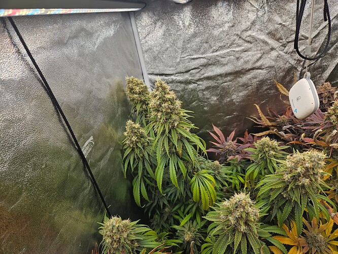 Growreport Bild 2
