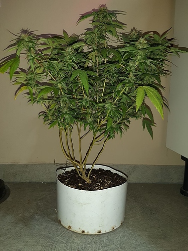 Growreport Bild 10