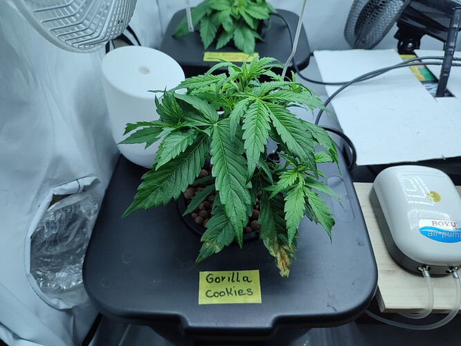 Growreport Bild 9