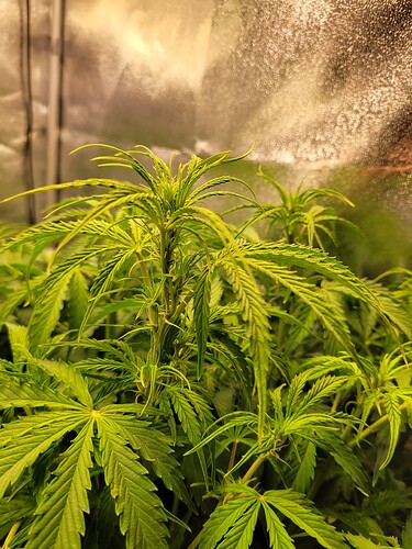 Growreport Bild 5