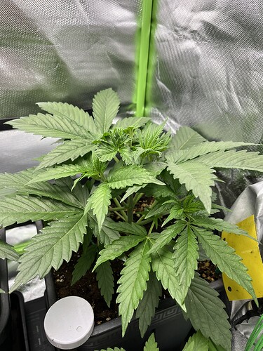 Growreport Bild 2