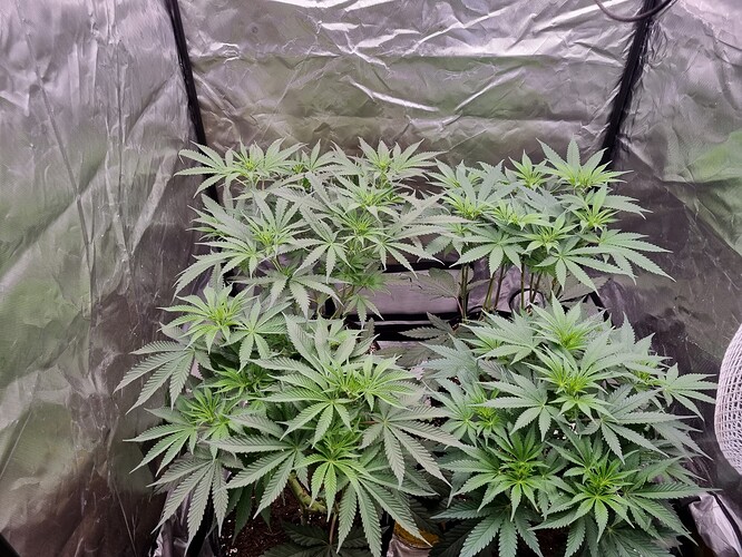 Growreport Bild 11