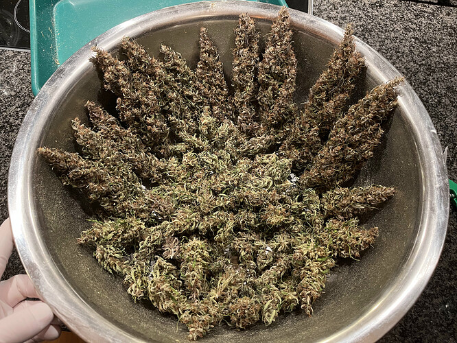Growreport Bild 10