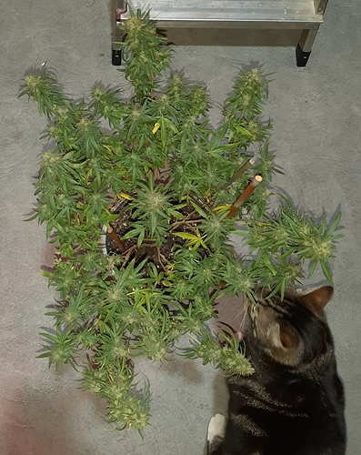 Growreport Bild 2