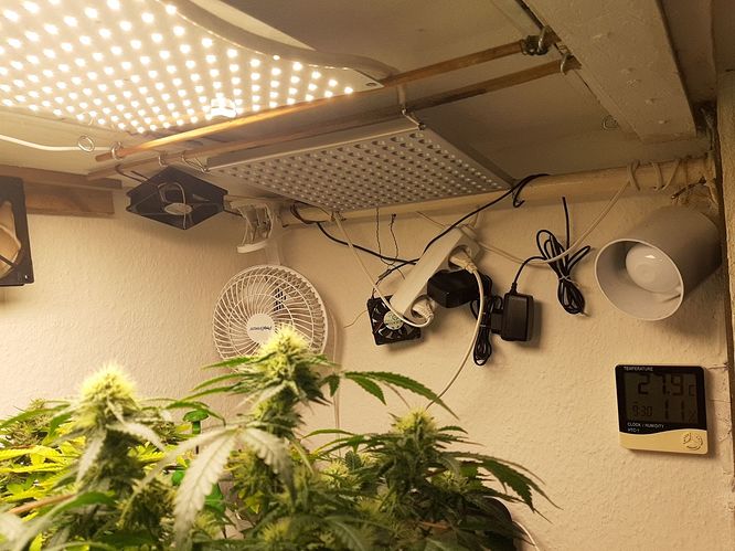 Growreport Bild 4
