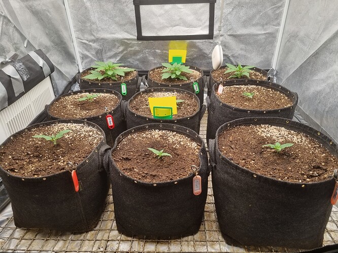 Growreport Bild 8