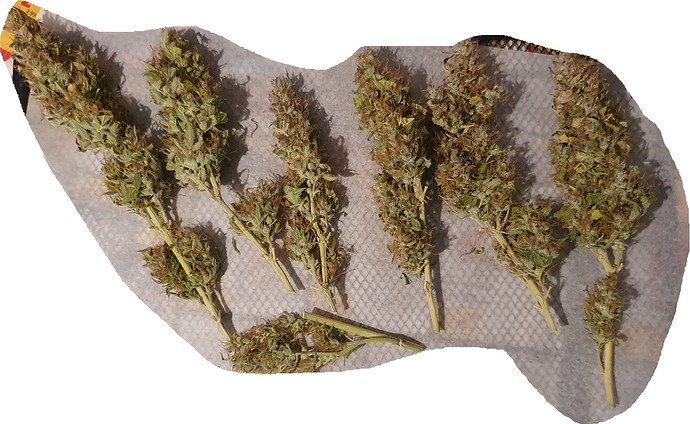 Growreport Bild 21