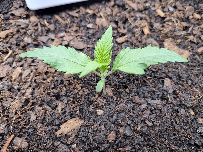 Growreport Bild 42