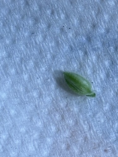 Growreport Bild 3