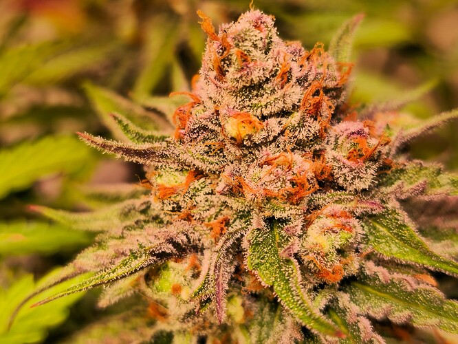 Growreport Bild 14