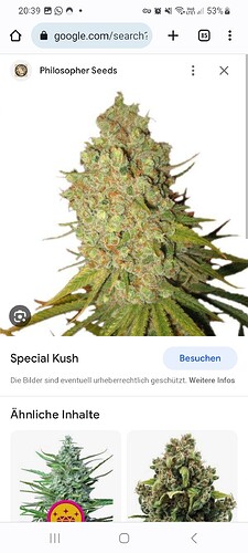 Screenshot_20230817_203945_Chrome