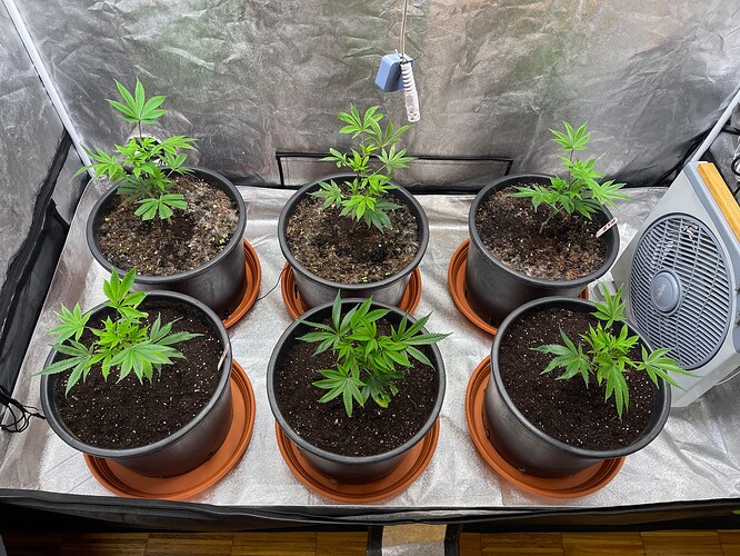 Growreport Bild 6