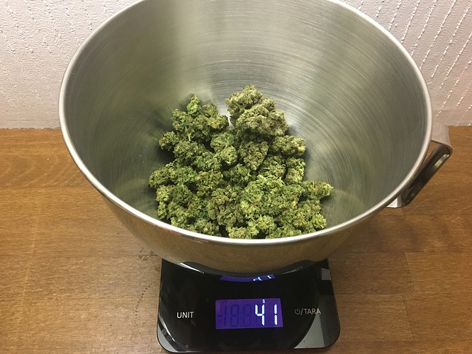 Growreport Bild 4