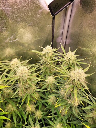 Growreport Bild 4