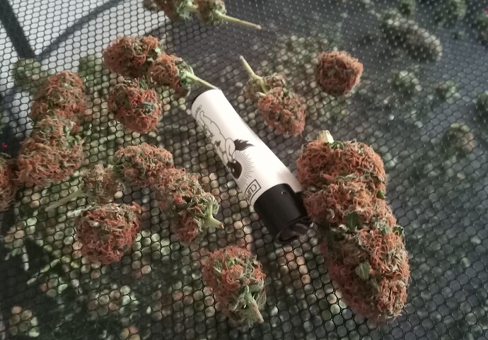 Growreport Bild 45