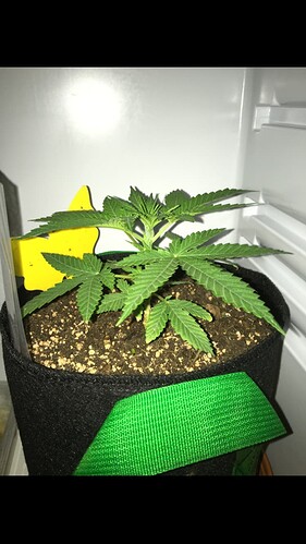 Growreport Bild 18