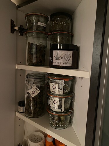 Growreport Bild 4