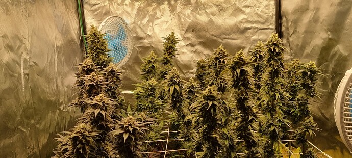 Growreport Bild 22
