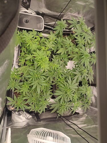 Growreport Bild 10