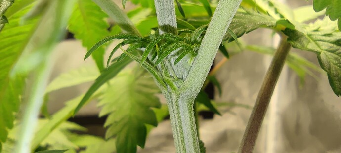 Growreport Bild 3