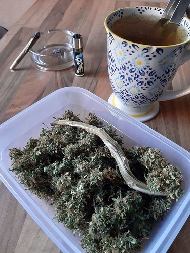 Growreport Bild 8