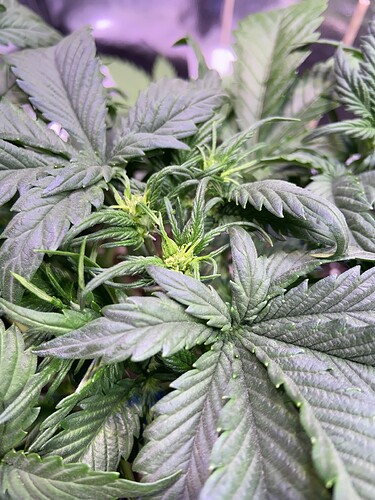 Growreport Bild 22