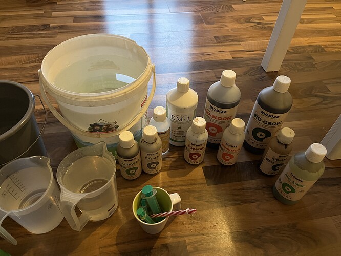 Growreport Bild 6