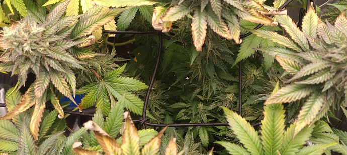 Growreport Bild 8