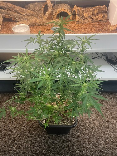 Growreport Bild 12