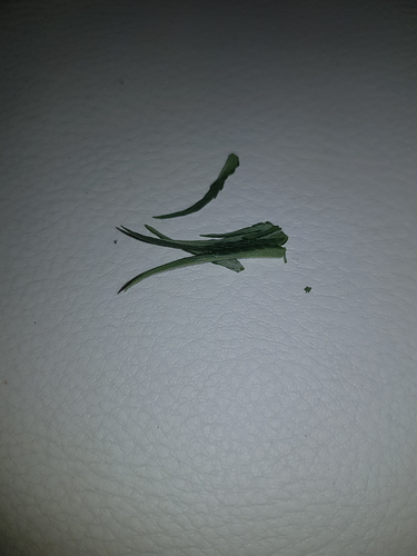 Growreport Bild 10