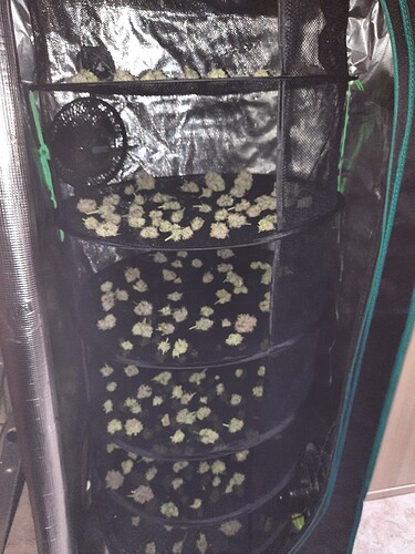 Growreport Bild 64