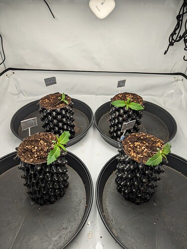 PXL_20231029_125740257