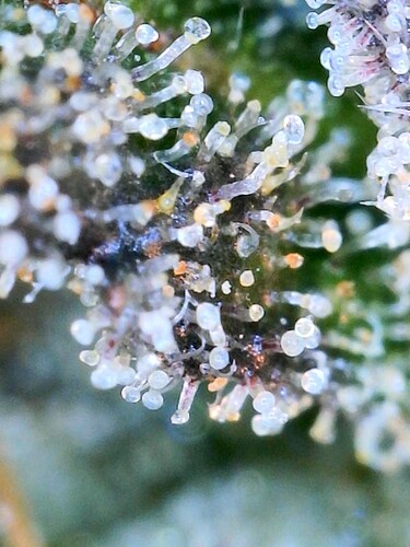 2023-02-18-18-42-47-883