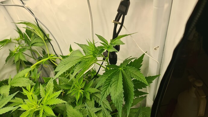 Growreport Bild 7