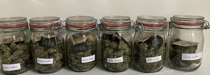 Growreport Bild 21