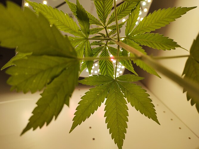 threema-20230727-195559162