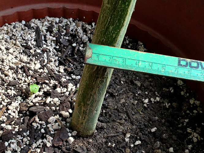 Growreport Bild 21