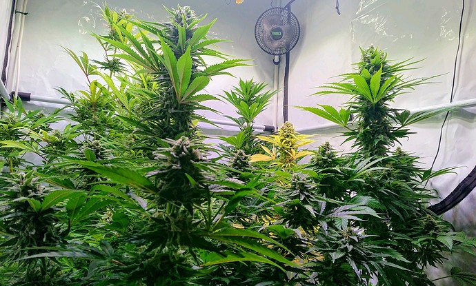 Growreport Bild 23