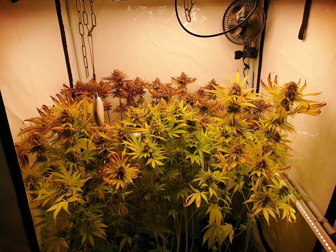 Growreport Bild 4