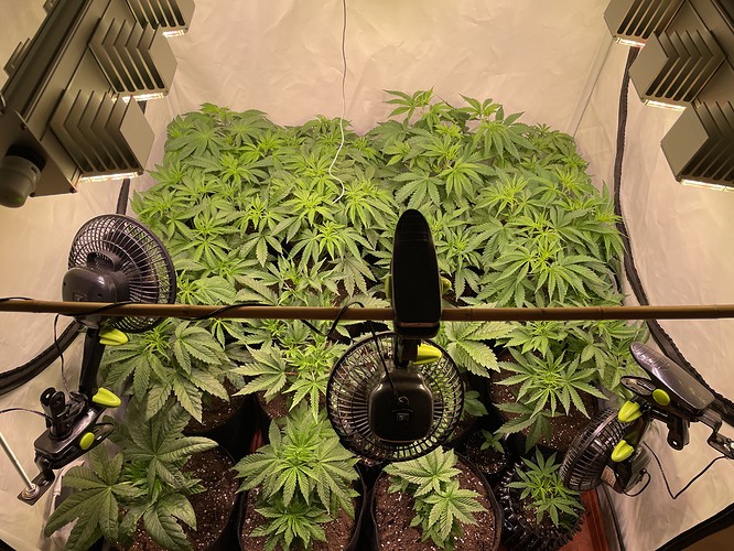 Growreport Bild 1