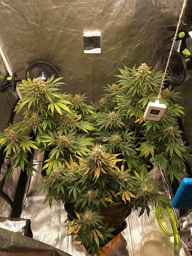 Growreport Bild 8