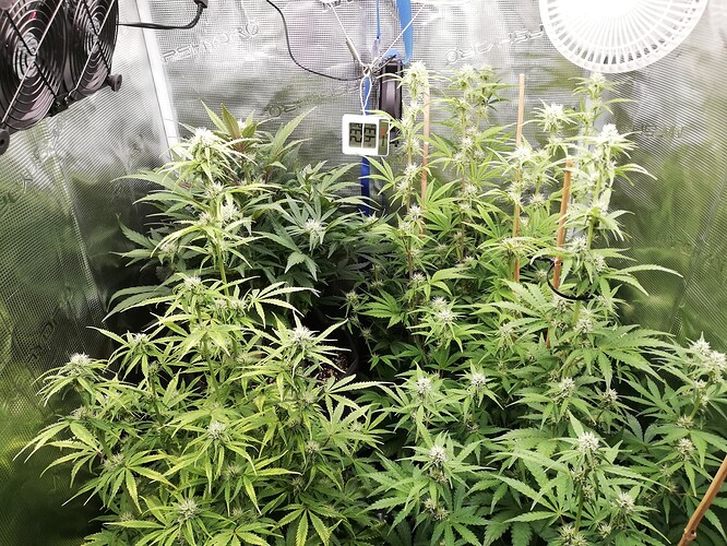 Growreport Bild 22