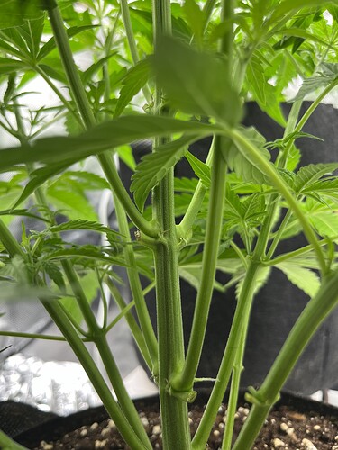 Growreport Bild 16