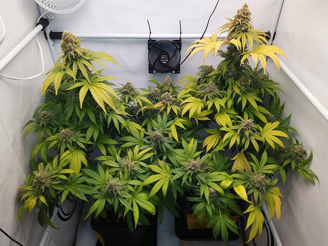 Growreport Bild 2
