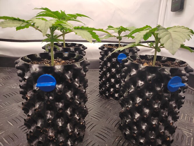 Growreport Bild 17
