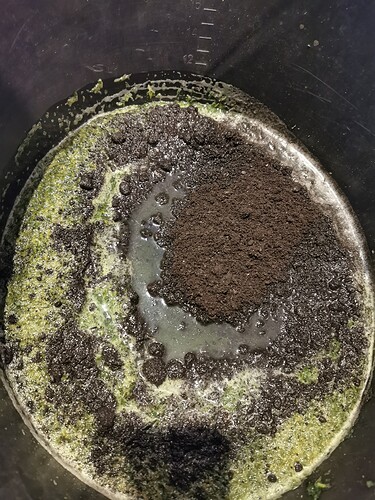 Growreport Bild 9