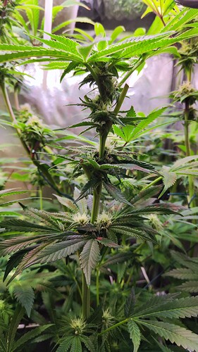 Growreport Bild 18